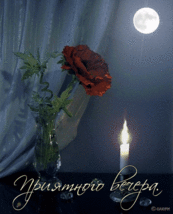 d0fe56f5015f.gif
