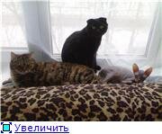 49044360ddf7t.jpg