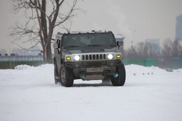 IMG_1279.jpg