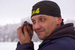 147.jpg
