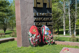 DSCF2147.jpg