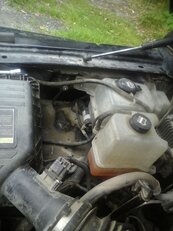 20180825_130013.jpg