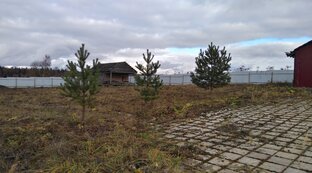 IMG_20181026_143952.jpg