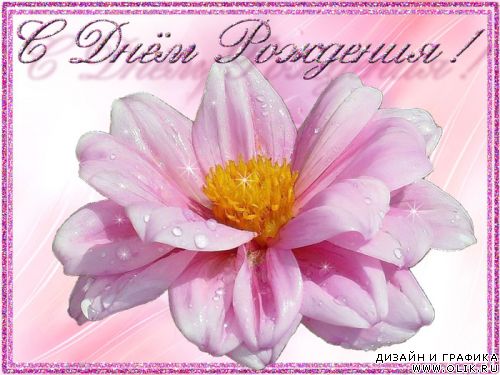 1243244625_0lik.ru_prevjushka-s-dnjom-rozhd.jpg